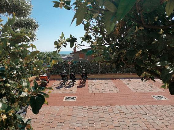 Dimora Effe - Eco B&B Termoli Dış mekan fotoğraf